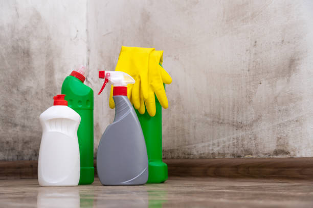 Reliable Irwindale, CA Mold Inspection, Removal & Remediation Solutions